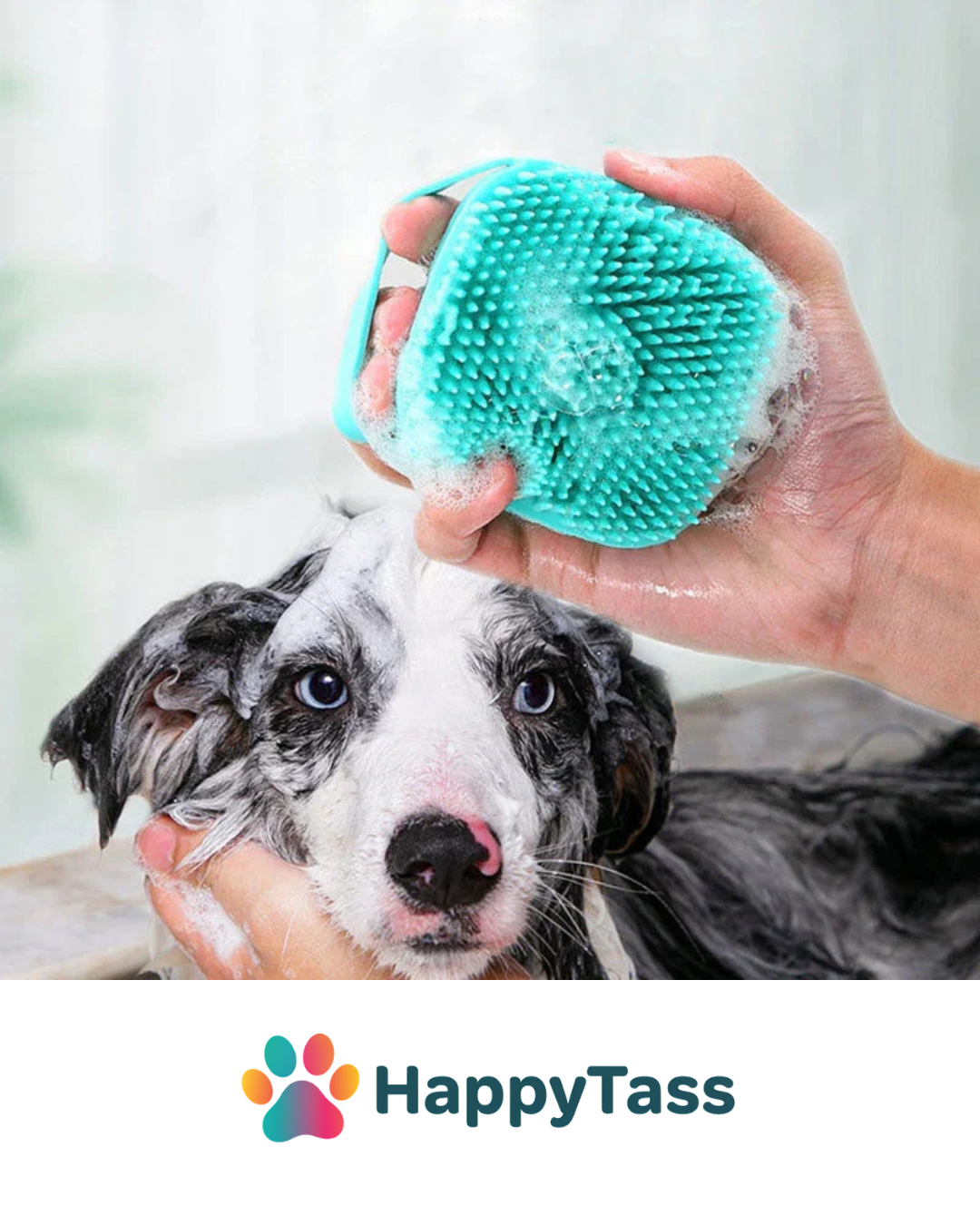 HappyTass Duschborste för Husdjur